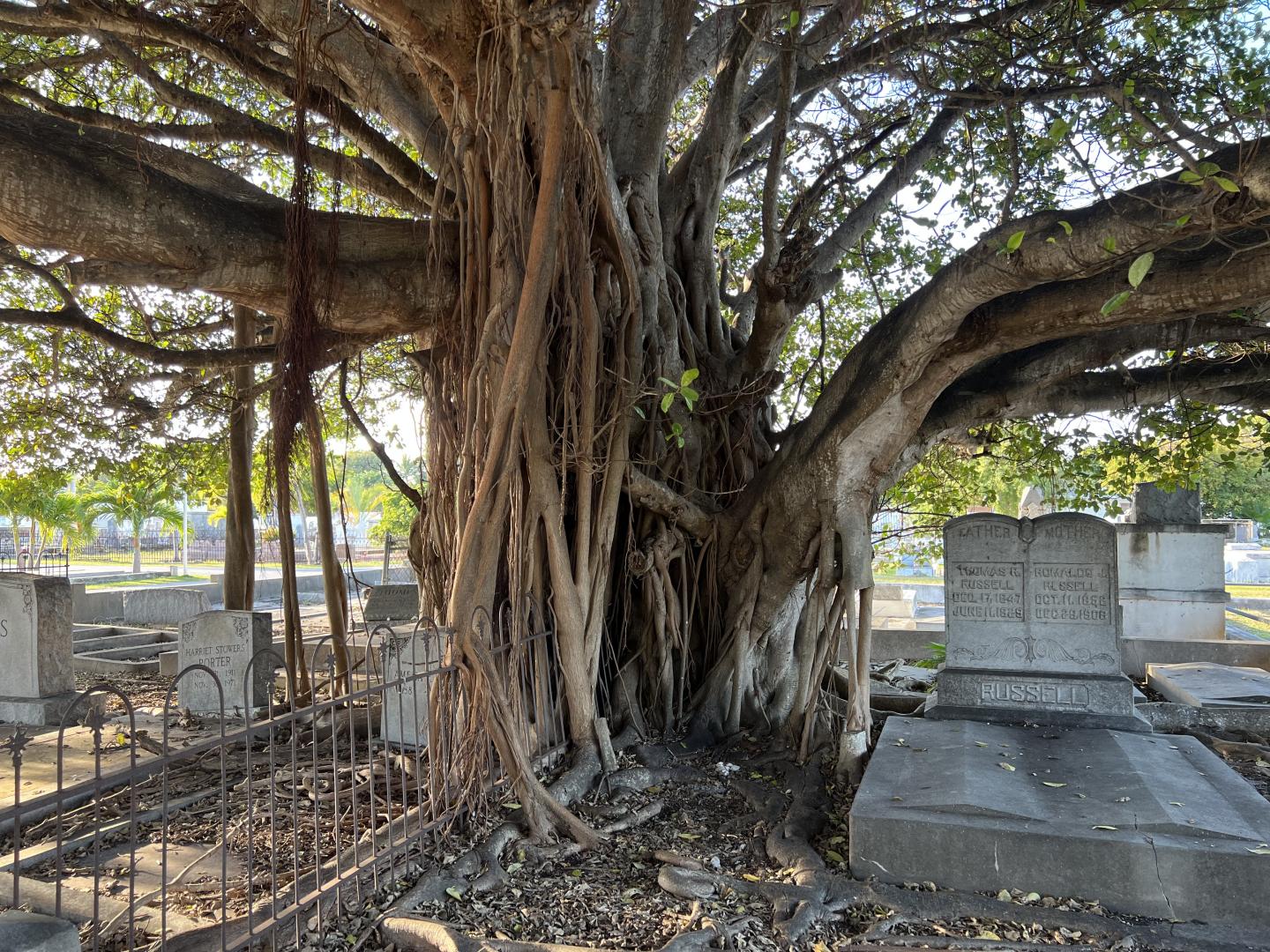 Key West Cemetery Key West Cemetery